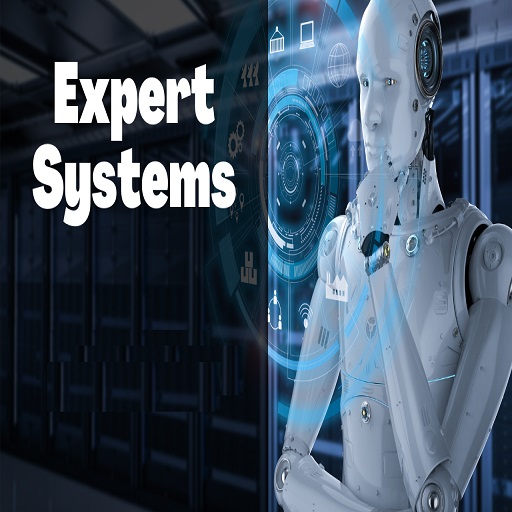 Expert Systems